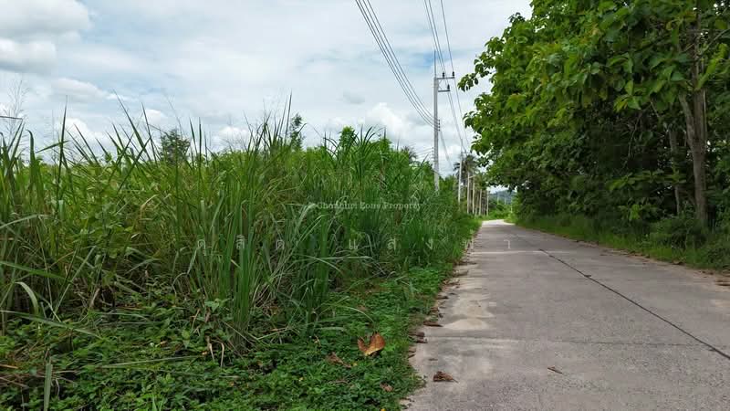 ขายที่ดินวิวภูเขา 1.5 ไร่ ธรรมชาติมาก โค้งดารา ศรีราชา, Chon Buri (Pattaya), Surasak, Si Racha, Chon Buri (Pattaya), , 2,400 sqm, Land For Sale, by Dusit Saengfa, 500383595 - DDproperty.com
