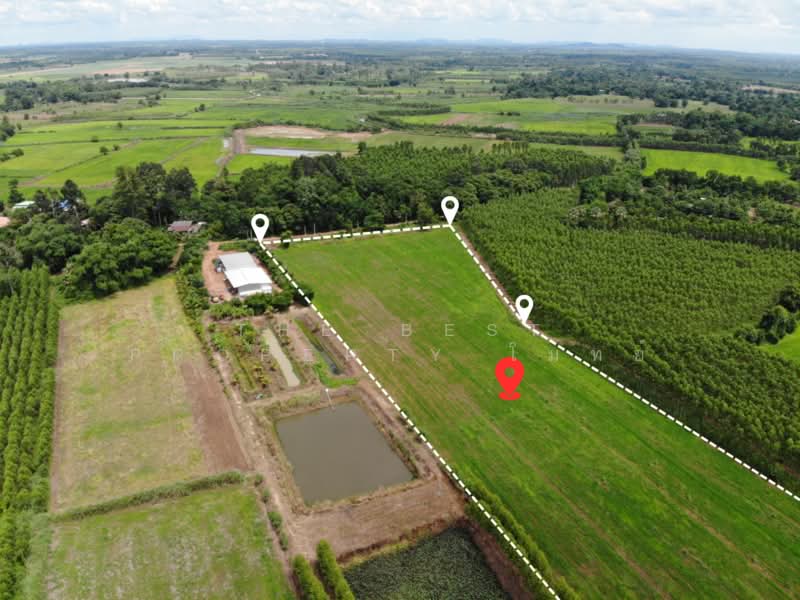ที่ดินกบินทร์บุรี ปราจีนบุรี, Prachin Buri, Yan Ri, Kabin Buri, Prachin Buri, , 29,288 sqm, Land For Sale, by The Best Property โมทย์, 500383607 - DDproperty.com