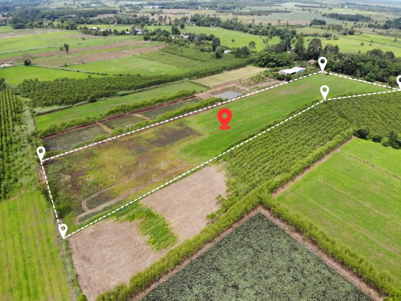 ที่ดินกบินทร์บุรี ปราจีนบุรี, ปราจีนบุรี, ย่านรี, กบินทร์บุรี, ปราจีนบุรี, 29,288 ตร.ม., ที่ดิน ขาย, โดย The Best Property โมทย์, 500383607 - DDproperty.com