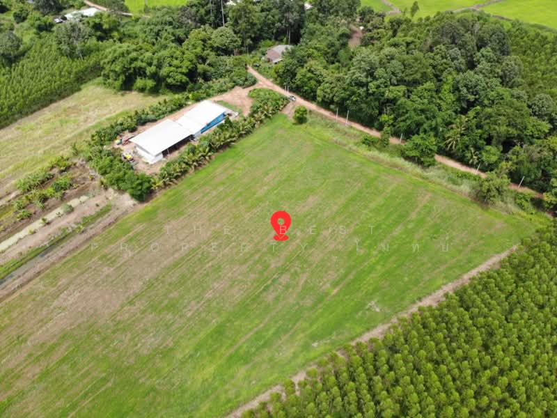 ที่ดินกบินทร์บุรี ปราจีนบุรี, ปราจีนบุรี, ย่านรี, กบินทร์บุรี, ปราจีนบุรี, 29,288 ตร.ม., ที่ดิน ขาย, โดย The Best Property โมทย์, 500383607 - DDproperty.com