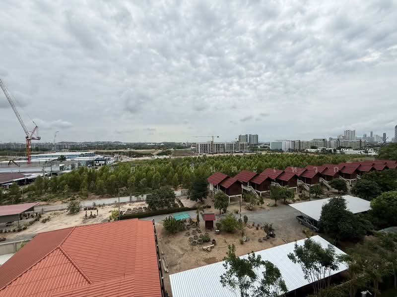 Dusit Grand Park 2, Chon Buri (Pattaya), Moo 12, Jomtiensaiong Road, Nong Pru, Bang Lamung (Pattaya), Chon Buri (Pattaya), 1 Bedroom, 35 sqm, Condo For Sale, by อาทิตยา จินตะเหวก, 500383667 - DDproperty.com