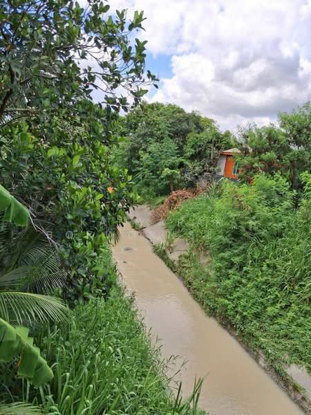 บ้าน เดอะซัน วิลเลจ มาบตาพุด ระยอง : The Sun Village, Rayong, Map Ta Phut, Muang Rayong, Rayong, 3 Bedrooms, 300 sqm, Single Detached House For Sale, by Kanyarak Borwornsetthaskul, 500383817 - DDproperty.com