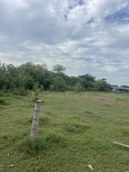 ขายที่ดินทำจัดสรร บ้านโป่ง ราชบุรี 17 ไร่ 19 ตร.วา ไร่ละ 850,000 ใกล้สถานีรถไฟหนองปลาดุก, ราชบุรี, หนองกบ, บ้านโป่ง, ราชบุรี, 27,276 ตร.ม., ที่ดิน ขาย, โดย คุณเอ็มมี่, 500384005 - DDproperty.com