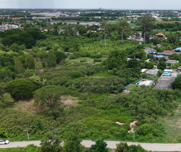 ขายที่ดินทำจัดสรร บ้านโป่ง ราชบุรี 17 ไร่ 19 ตร.วา ไร่ละ 850,000 ใกล้สถานีรถไฟหนองปลาดุก, ราชบุรี, หนองกบ, บ้านโป่ง, ราชบุรี, 27,256 ตร.ม., ที่ดิน ขาย, โดย คุณเอ็มมี่, 500384005 - DDproperty.com