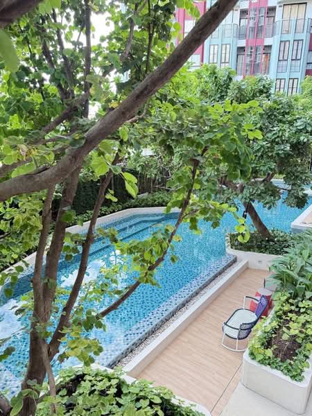 The Base Bukit Phuket : เดอะ เบส บูกิต, ภูเก็ต, 12 ถ.วิชิตสงคราม, วิชิต, เมืองภูเก็ต, ภูเก็ต, 29 ตร.ม., คอนโด ให้เช่า, โดย Prime Dew, 500384011 - DDproperty.com