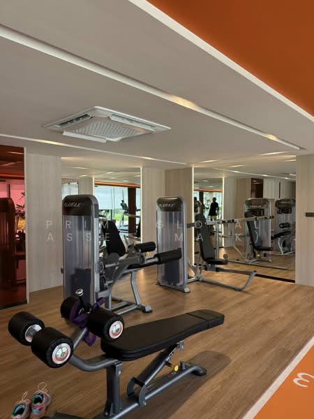 The Base Bukit Phuket, Phuket, 12 Vichitsongkram Rd, Wichit, Muang Phuket, Phuket, 1 Bedroom, 31 sqm, Condo For Rent, by Prime Global Asset (Mark), 500384026 - DDproperty.com