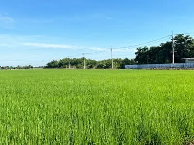ขาย - ที่ดินคลองอุดมชลจร ฉะเชิงเทรา, ฉะเชิงเทรา