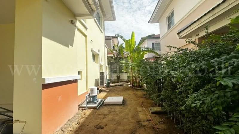 บ้านเดี่ยว ชัยพฤกษ์ 1 รังสิต คลอง4, ปทุมธานี, รังสิต-นครนายก, บึงยี่โถ, ธัญบุรี, ปทุมธานี, 250 ตร.ม., บ้านเดี่ยว ให้เช่า, โดย คุณ ภรณ์ทิพย์ (ปุ๋ย), 500384077 - DDproperty.com