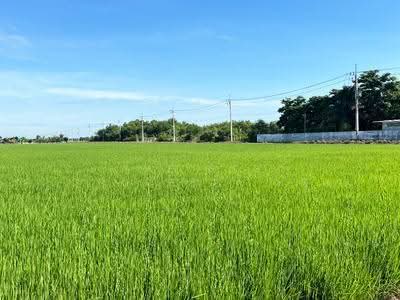 ขาย - ที่ดินคลองอุดมชลจร ฉะเชิงเทรา, ฉะเชิงเทรา