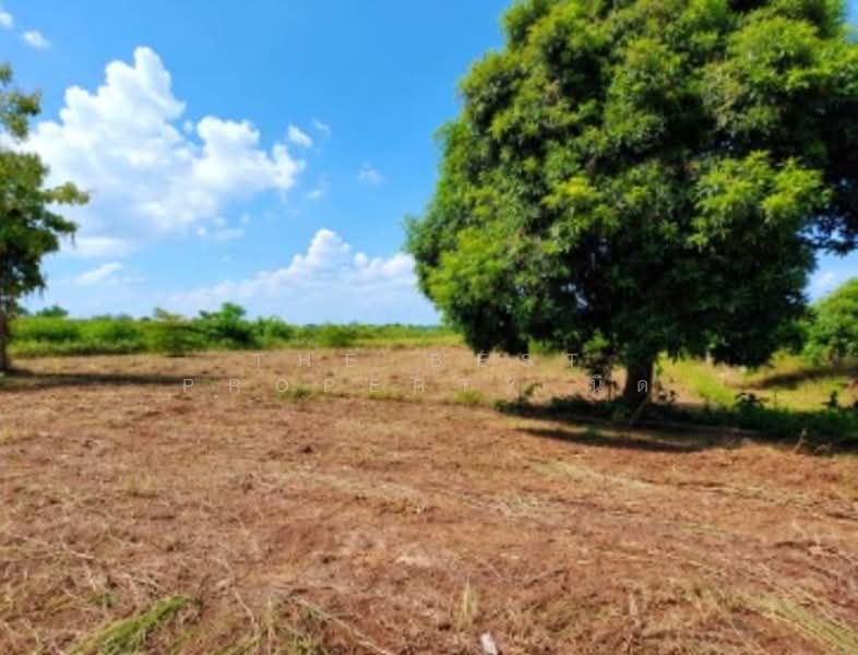 ที่ดินปากแคว สุโขทัย, Sukhothai, Pak Kaeo, Muang Sukhothai, Sukhothai, , 16,000 sqm, Land For Sale, by The Best Property นิด, 500384102 - DDproperty.com