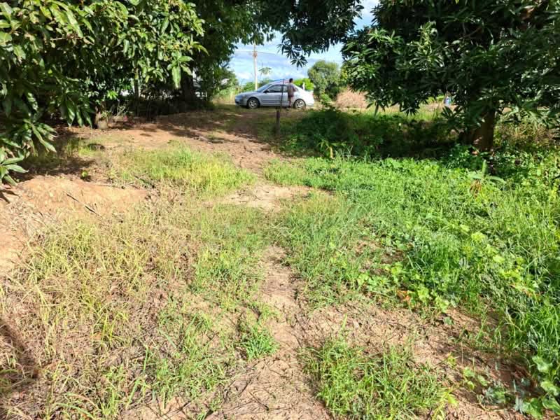 ที่ดินปากแคว สุโขทัย, Sukhothai, Pak Kaeo, Muang Sukhothai, Sukhothai, , 16,000 sqm, Land For Sale, by The Best Property นิด, 500384102 - DDproperty.com
