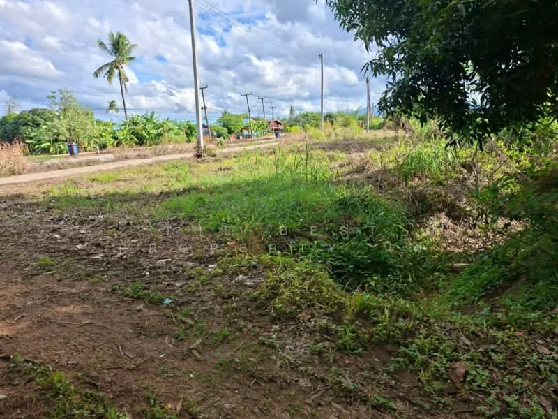 ที่ดินปากแคว สุโขทัย, Sukhothai, Pak Kaeo, Muang Sukhothai, Sukhothai, , 16,000 sqm, Land For Sale, by The Best Property นิด, 500384102 - DDproperty.com
