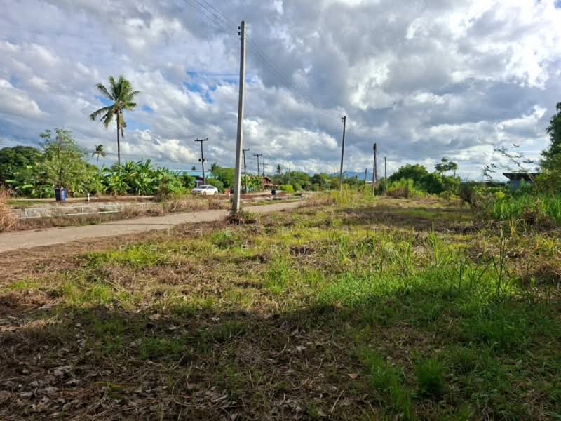 ที่ดินปากแคว สุโขทัย, Sukhothai, Pak Kaeo, Muang Sukhothai, Sukhothai, , 16,000 sqm, Land For Sale, by The Best Property นิด, 500384102 - DDproperty.com
