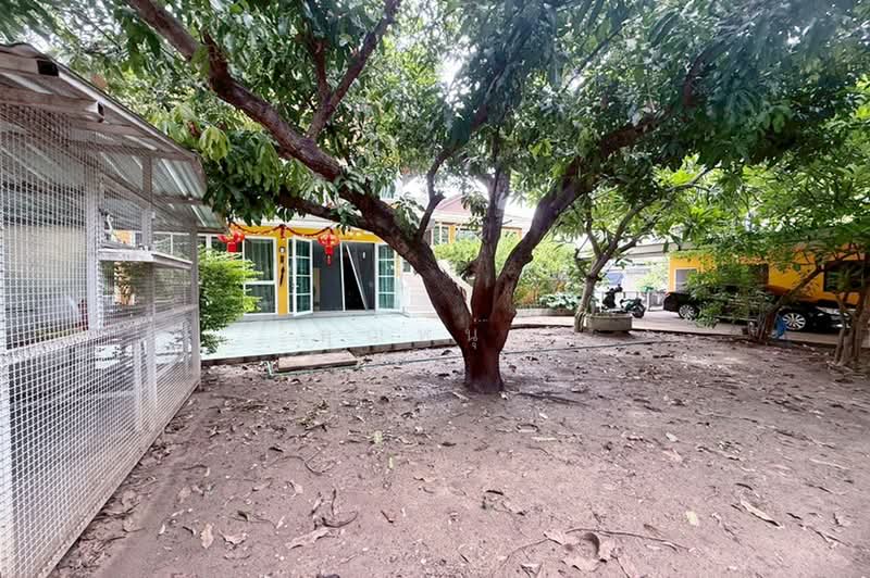 ซอยนวมินทร์ 95, Bangkok, Nawamin, Bueng Kum, Bangkok, 3 Bedrooms, 400 sqm, Single Detached House For Sale, by คุณหนุ่ม, 500384179 - DDproperty.com