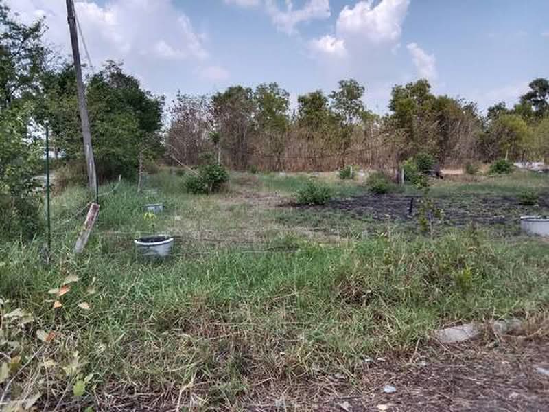 ขายที่ดิน 65 ตร.ว. ซอยเอราวัณ 28/1 คลองสอง คลองหลวง ปทุมธานี ใกล้ทางด่วนกาญจนาภิเษก, ปทุมธานี, คลองสอง, คลองหลวง, ปทุมธานี, 260 ตร.ม., ที่ดิน ขาย, โดย อุทัย คงวาสน์, 500384181 - DDproperty.com