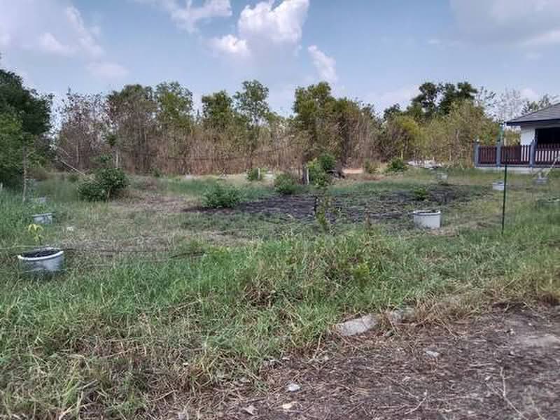 ขายที่ดิน 65 ตร.ว. ซอยเอราวัณ 28/1 คลองสอง คลองหลวง ปทุมธานี ใกล้ทางด่วนกาญจนาภิเษก, ปทุมธานี, คลองสอง, คลองหลวง, ปทุมธานี, 260 ตร.ม., ที่ดิน ขาย, โดย อุทัย คงวาสน์, 500384181 - DDproperty.com