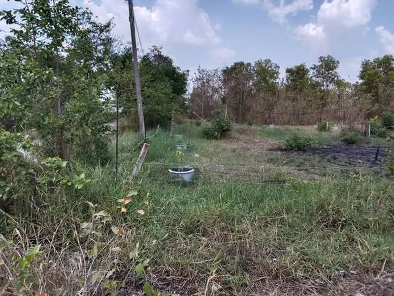 ขายที่ดิน 65 ตร.ว. ซอยเอราวัณ 28/1 คลองสอง คลองหลวง ปทุมธานี ใกล้ทางด่วนกาญจนาภิเษก, ปทุมธานี, คลองสอง, คลองหลวง, ปทุมธานี, 260 ตร.ม., ที่ดิน ขาย, โดย อุทัย คงวาสน์, 500384181 - DDproperty.com