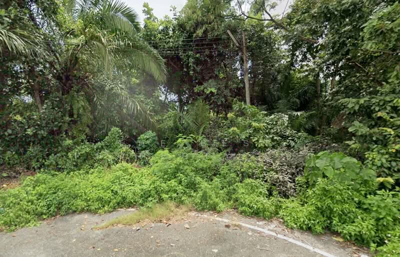 ที่ดินกระบี่ใหญ่ กระบี่, Krabi, Krabi Yai, Muang Krabi, Krabi, , 1,176 sqm, Land For Sale, by The Best Property ปุ้ยกี้, 500384203 - DDproperty.com
