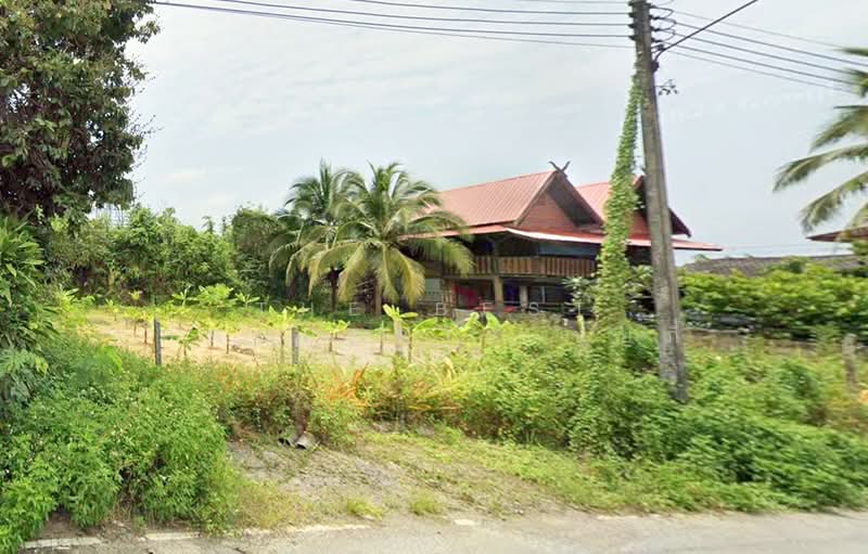 ที่ดินกระบี่ใหญ่ กระบี่, กระบี่, กระบี่ใหญ่, เมืองกระบี่, กระบี่, 1,176 ตร.ม., ที่ดิน ขาย, โดย The Best Property ปุ้ยกี้, 500384203 - DDproperty.com