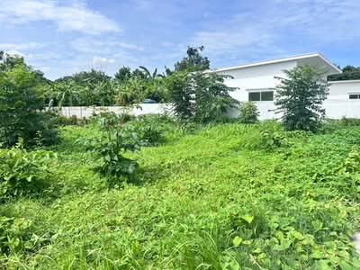 ขาย - ที่ดินบ้านโป่ง ราชบุรี, ราชบุรี
