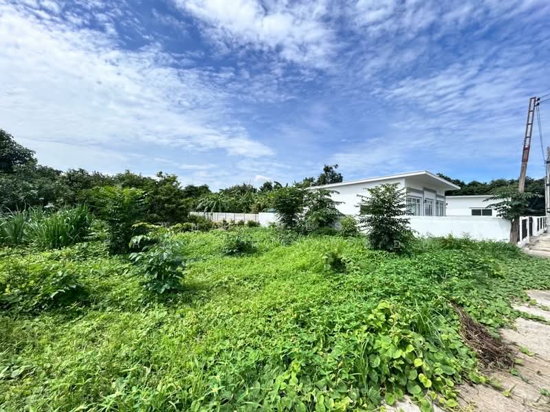 ที่ดินบ้านโป่ง ราชบุรี, ราชบุรี, กรับใหญ่, บ้านโป่ง, ราชบุรี, 576 ตร.ม., ที่ดิน ขาย, โดย The Best Property ออย, 500384222 - DDproperty.com