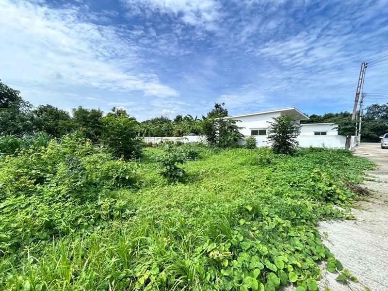 ที่ดินบ้านโป่ง ราชบุรี, ราชบุรี, กรับใหญ่, บ้านโป่ง, ราชบุรี, 576 ตร.ม., ที่ดิน ขาย, โดย The Best Property ออย, 500384222 - DDproperty.com