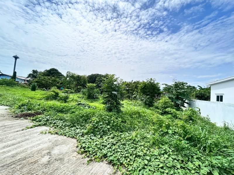 ที่ดินบ้านโป่ง ราชบุรี, ราชบุรี, กรับใหญ่, บ้านโป่ง, ราชบุรี, 576 ตร.ม., ที่ดิน ขาย, โดย The Best Property ออย, 500384222 - DDproperty.com