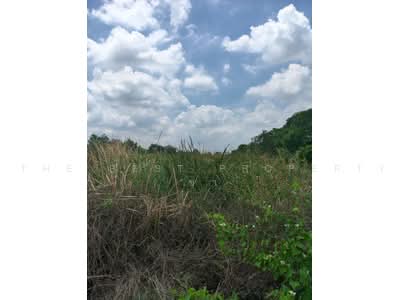 ขาย - ที่ดินบางพลี สมุทรปราการ, สมุทรปราการ