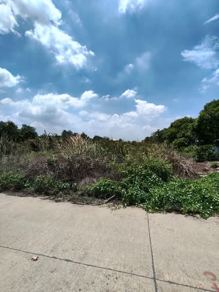 ที่ดินบางพลี สมุทรปราการ, Samut Prakan, Bangphli Yai, Bang Plee, Samut Prakan, , 6,400 sqm, Land For Sale, by The Best Property ชา, 500384242 - DDproperty.com