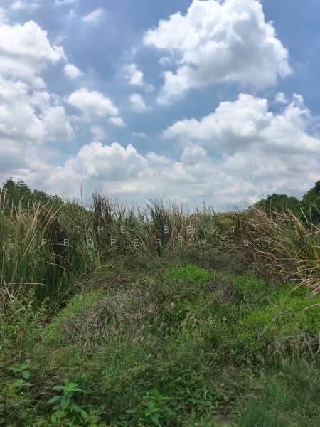 ที่ดินบางพลี สมุทรปราการ, Samut Prakan, Bangphli Yai, Bang Plee, Samut Prakan, , 6,400 sqm, Land For Sale, by The Best Property ชา, 500384242 - DDproperty.com