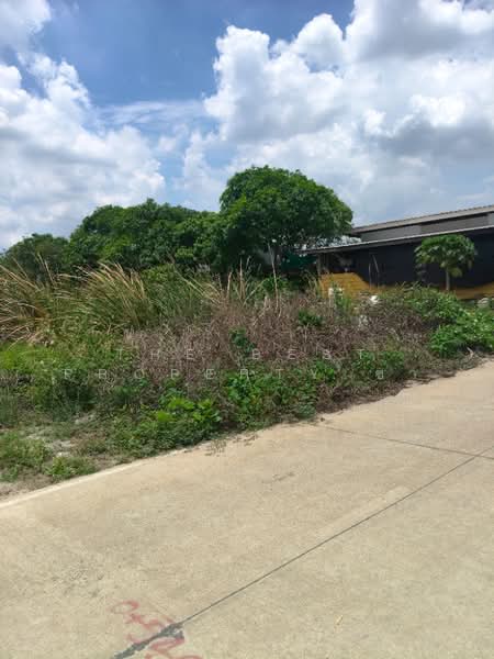 ที่ดินบางพลี สมุทรปราการ, Samut Prakan, Bangphli Yai, Bang Plee, Samut Prakan, , 6,400 sqm, Land For Sale, by The Best Property ชา, 500384242 - DDproperty.com