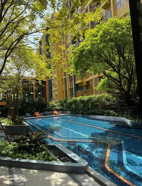 The Base Sukhumvit 50 : เดอะ เบส สุขุมวิท 50, กรุงเทพ, ซอยเริ่มเจริญ แยก 1 ถนนสุขุมวิท 50, พระโขนง, คลองเตย, กรุงเทพ, 35 ตร.ม., คอนโด ขาย, โดย Shinyu Real Estate, 500384337 - DDproperty.com