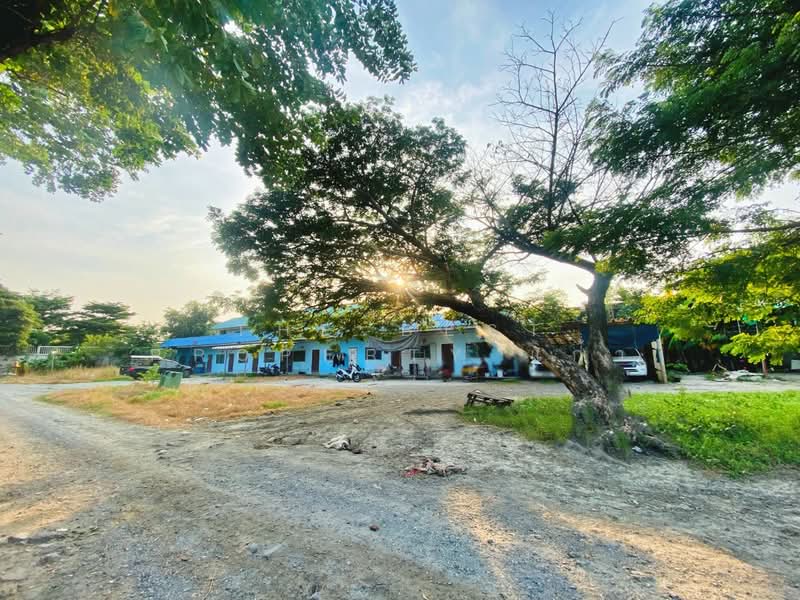 ห้องเช่าพร้อมที่ดินบางพลี สมุทรปราการ, Samut Prakan, Bangphli Yai, Bang Plee, Samut Prakan, , 200 sqm, Business For Sale, by The Best Property แก้ว, 500384340 - DDproperty.com