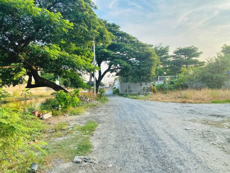 ห้องเช่าพร้อมที่ดินบางพลี สมุทรปราการ, Samut Prakan, Bangphli Yai, Bang Plee, Samut Prakan, , 200 sqm, Business For Sale, by The Best Property แก้ว, 500384340 - DDproperty.com