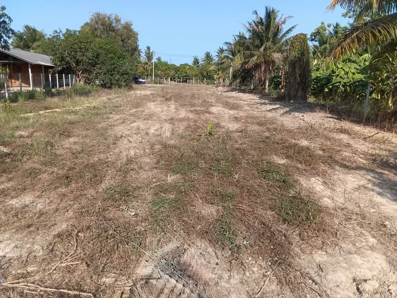 ที่ดินท่ายาง เพชรบุรี, Phetchaburi, Ban Nai Dong, Tha Yang, Phetchaburi, , 1,904 sqm, Land For Sale, by The Best Property นก, 500384407 - DDproperty.com