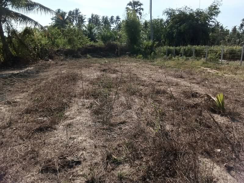ที่ดินท่ายาง เพชรบุรี, Phetchaburi, Ban Nai Dong, Tha Yang, Phetchaburi, , 1,904 sqm, Land For Sale, by The Best Property นก, 500384407 - DDproperty.com