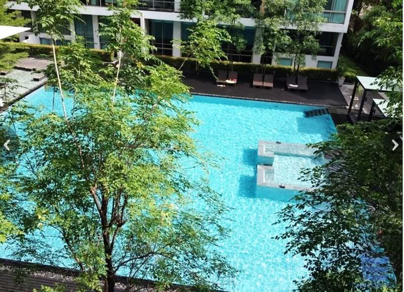 Ficus Lane, Bangkok, Soi Sukhumvit 44/1, Phra Kanong, Khlong Toei, Bangkok, 3 Bedrooms, 200 sqm, Condo For Rent, by Simon Decalf, 500384496 - DDproperty.com