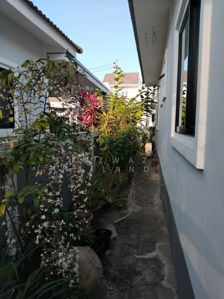3BR House for Rent in Hang Dong Chiang Mai | San Phak Wan Home, Chiang Mai, San Phak Wan, Hang Dong, Chiang Mai, 3 Bedrooms, 60 sqm, Single Detached House For Rent, by Fazwaz (Thailand) Co., Ltd., 500384508 - DDproperty.com