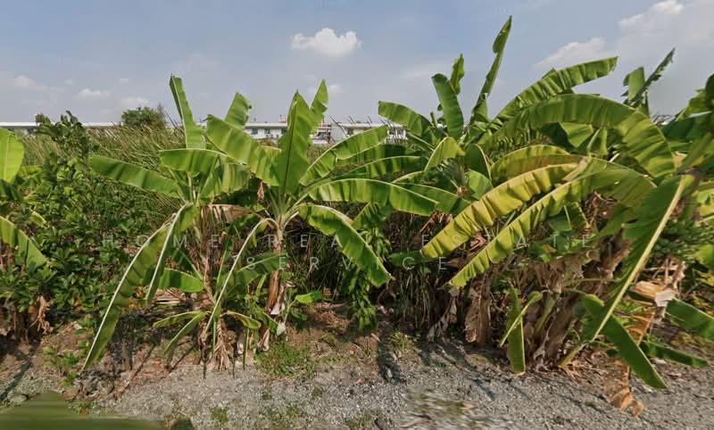 ที่ดิน บางนา กม.5, Samut Prakan, Bang Kaeo, Bang Plee, Samut Prakan, , 4,000 sqm, Land For Sale, by HOME Real Estate Service, 500384517 - DDproperty.com