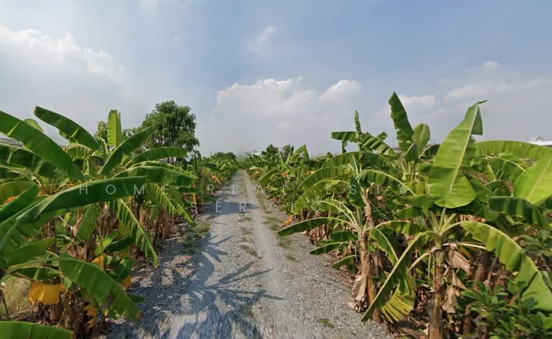 ที่ดิน บางนา กม.5, Samut Prakan, Bang Kaeo, Bang Plee, Samut Prakan, , 4,000 sqm, Land For Sale, by HOME Real Estate Service, 500384517 - DDproperty.com