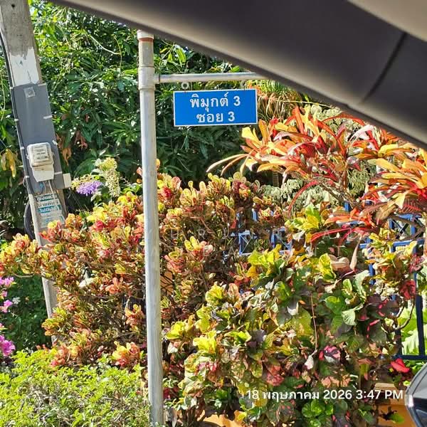 Baan Pimuk 3, Chiang Mai, San Phra Net, San Sai, Chiang Mai, 3 Bedrooms, 158 sqm, Single Detached House For Sale, by ChayurinRealestateAgent, 500384529 - DDproperty.com