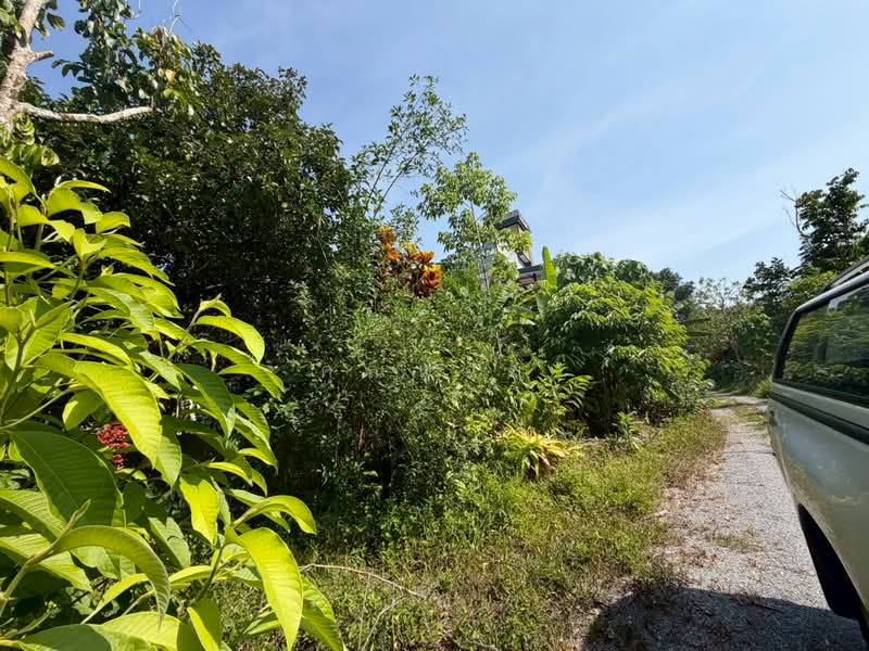 นอกโครงการนครศรีธรรมราช, Nakhon Si Thammarat, Thon Hong, Phrommakhiri, Nakhon Si Thammarat, 5 Bedrooms, 18,140 sqm, Single Detached House For Sale, by คุณแจม, 500384597 - DDproperty.com