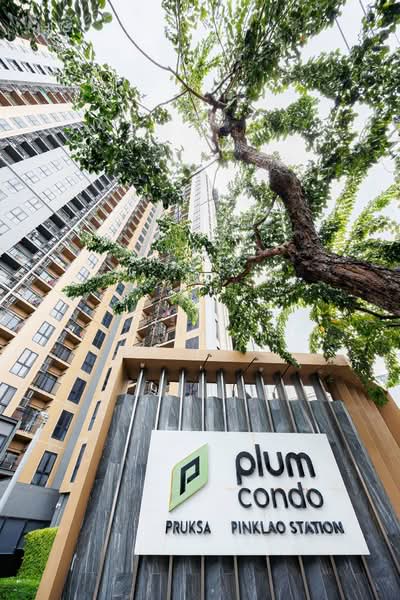 Plum Condo ปิ่นเกล้า สเตชั่น (พลัมคอนโด ปิ่นเกล้า สเตชั่น), กรุงเทพ, - ถนนสมเด็จพระปิ่นเกล้า, บางยี่ขัน, บางพลัด, กรุงเทพ, 25 ตร.ม., คอนโด ให้เช่า, โดย ณัฐจีรา กุลสิริภิวัฒน์, 500384611 - DDproperty.com