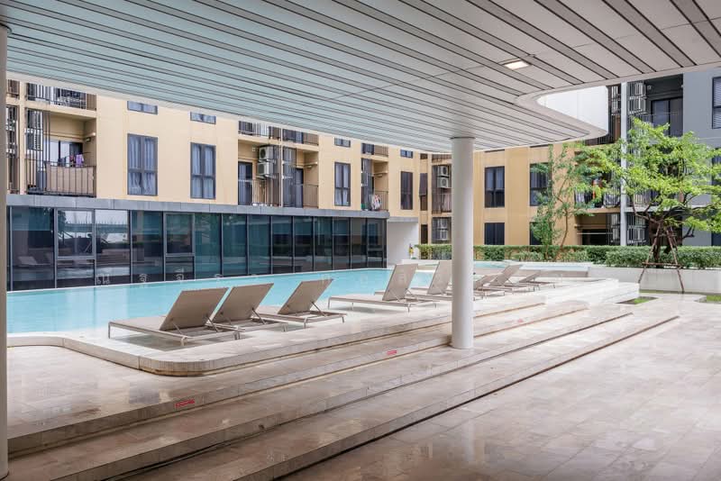 Plum Condo Pinklao Station, Bangkok, Somdet Chaopraya Road, Bang Yi Khan, Bang Phlat, Bangkok, 1 Bedroom, 25 sqm, Condo For Rent, by ณัฐจีรา กุลสิริภิวัฒน์, 500384611 - DDproperty.com