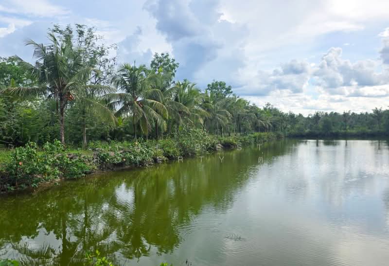 ที่ดินท่ายาง ชุมพร, ชุมพร, ท่ายาง, เมืองชุมพร, ชุมพร, 22,708 ตร.ม., ที่ดิน ขาย, โดย The Best Property ต่าย, 500384690 - DDproperty.com