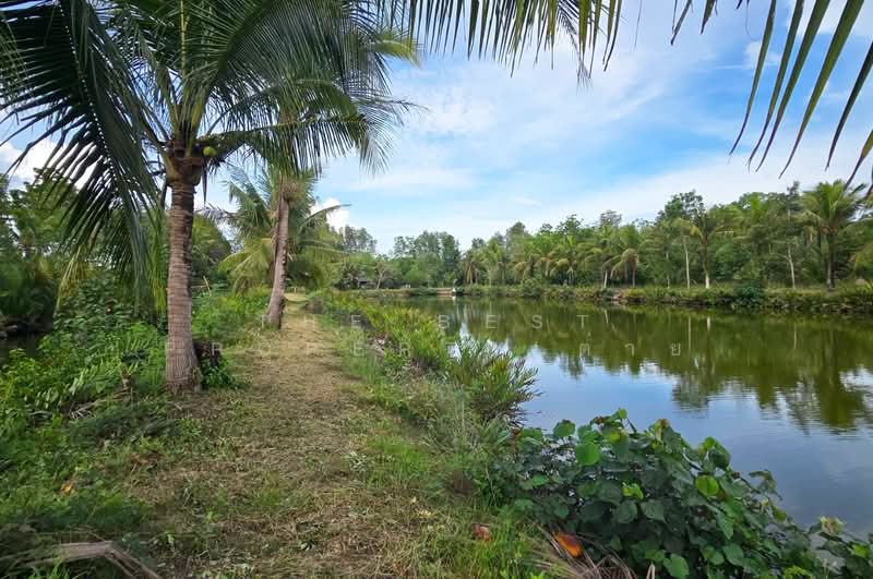 ที่ดินท่ายาง ชุมพร, ชุมพร, ท่ายาง, เมืองชุมพร, ชุมพร, 22,708 ตร.ม., ที่ดิน ขาย, โดย The Best Property ต่าย, 500384690 - DDproperty.com