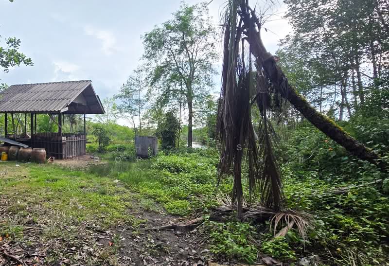 ที่ดินท่ายาง ชุมพร, ชุมพร, ท่ายาง, เมืองชุมพร, ชุมพร, 22,708 ตร.ม., ที่ดิน ขาย, โดย The Best Property ต่าย, 500384690 - DDproperty.com