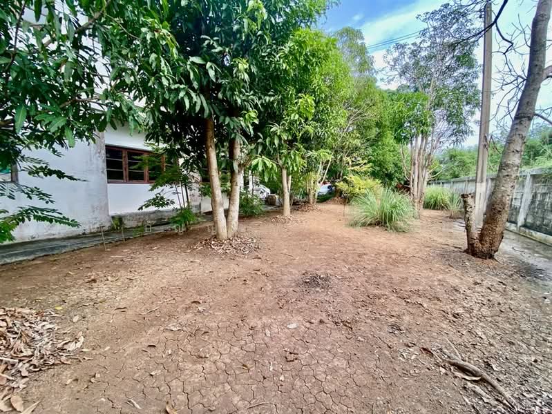 ที่ดิน + บ้าน 2 ชั้น 300 ตร.ว. ใกล้โลตัสรังสิต คลอง7 ถนนรังสิต–นครนายก, ปทุมธานี, ถนนรังสิต–นครนายก, ลำผักกูด, ธัญบุรี, ปทุมธานี, 400 ตร.ม., บ้านเดี่ยว ขาย, โดย คุณ กัญญ์ชญา คารมดี (จิ๋ว), 500384810 - DDproperty.com