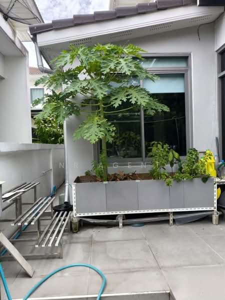 Perfect Place Phatthanakan-Srinakarin : เพอร์เฟค เพลส พัฒนาการ-ศรีนครินทร์, กรุงเทพ, 7/24 อ่อนนุช 80 แยก 5, ประเวศ, กรุงเทพ, 250 ตร.ม., บ้านเดี่ยว ขาย, โดย NR AGENT, 500384811 - DDproperty.com