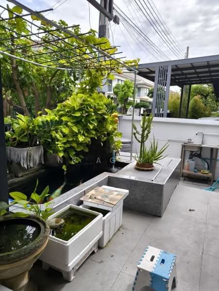 Perfect Place Phatthanakan-Srinakarin, Bangkok, 7/24 On Nut 80 Yaek 5, Prawet, Bangkok, 3 Bedrooms, 250 sqm, Single Detached House For Sale, by NR AGENT, 500384811 - DDproperty.com
